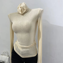 Load image into Gallery viewer, Sheer Stack-Neck Long-Sleeve Top